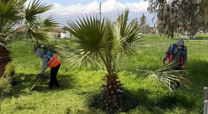  بلدية غزة تؤهّل الحديقة العامة استعدادًا لموسم الصيف