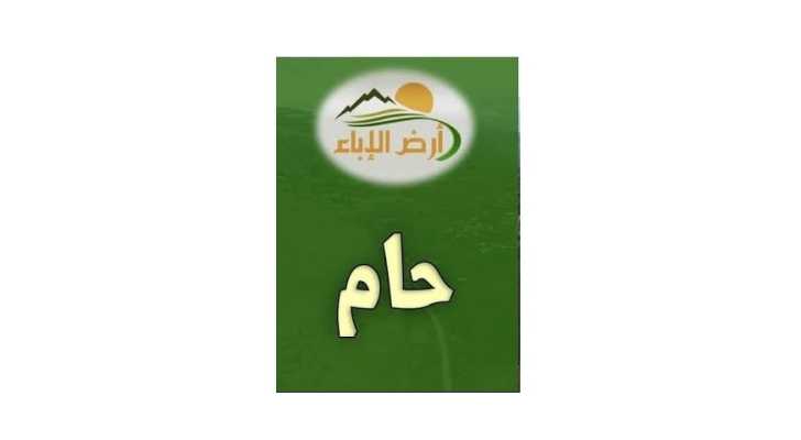 بلدية حام: بيان استنكار حول الاعتداء الصهيوني على بلدية بليدا