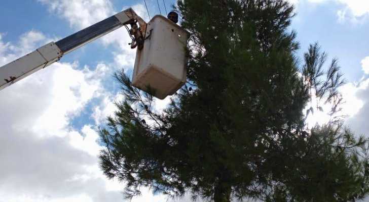 بلدية راشيا الوادي تشحّل أغصان الأشجار القريبة من خطوط الكهرباء