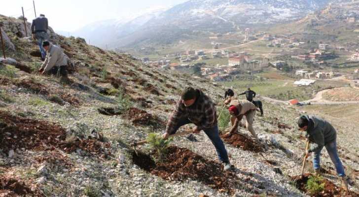25 ألف شجرة تزيّن محميات مشغرة وجوانب الطرقات فيها .. اهتمام بلدي ينتج مردوداً مالياً