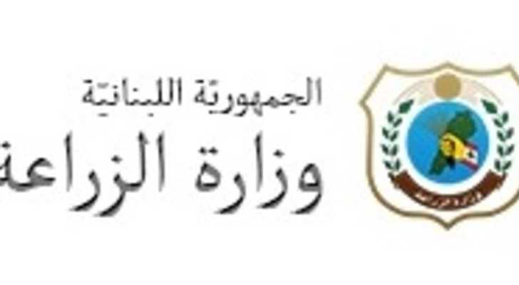 وزارة الزراعة تتابع الأسعار اليومية وتصدر نشرة أسبوعية للسلع الأساسية