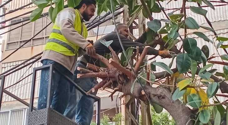 بلدية حارة حريك تواصل أعمال صيانة الصرف الصحي وتشجير الشوارع