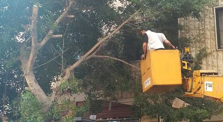 أقسام بلدية المريجة: أعمال صيانة متواصلة لبيئة آمنة ونظيفة