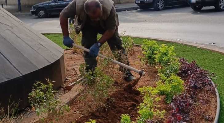 بلدية الغبيري تُنهي أعمال إزالة عدد من الأشجار في منطقتيْ الجناح والطيونة