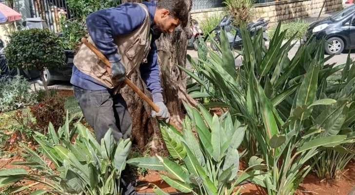 بلدية الغبيري تواصل العناية بالمساحات الخضراء والحدائق العامة