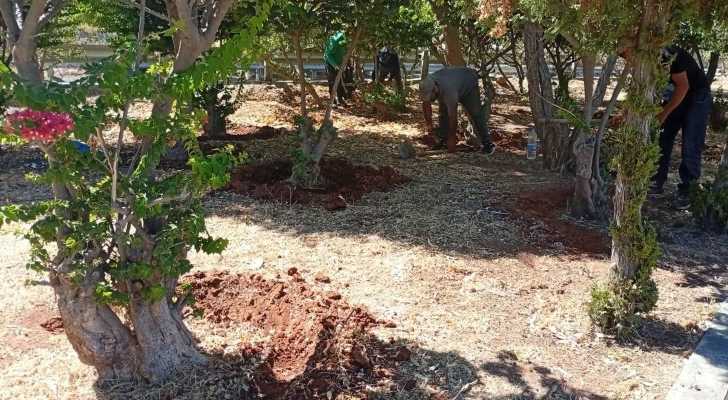 بلدية الجية تتابع تنفيذ أعمالها الخدمية في البلدة