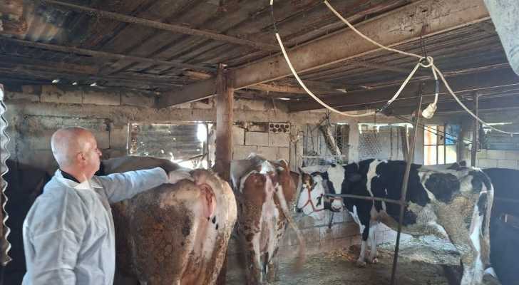 حملة تلقيح للأبقار في بلدة مجدل سلم بالتعاون مع وزارة الزراعة واتحاد بلديات جبل عامل