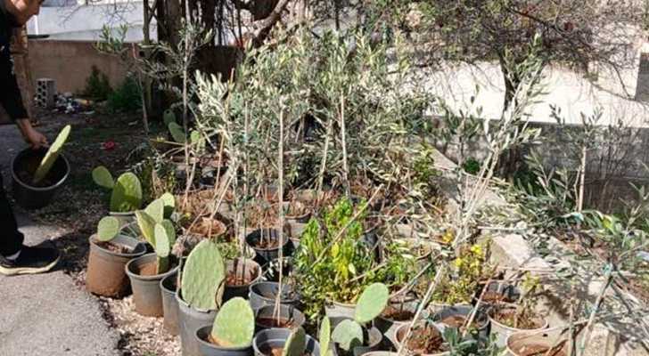 بلدية صرُبّين تُنظم ندوة زراعية حول زراعة الأشجار المثمرة
