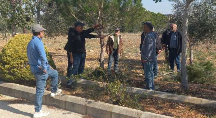 ورشة تدريبية حول تقليم الأشجار لمندوبي البلديات في قضاء صور