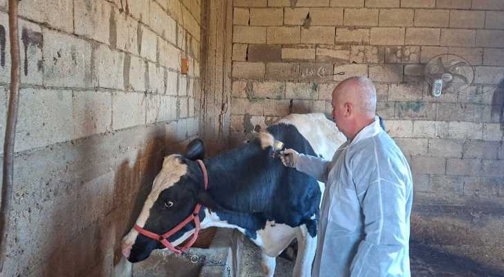 اتحاد بلديات جبل عامل يُطلق حملة تلقيح الأبقار ضد الحمى القلاعية
