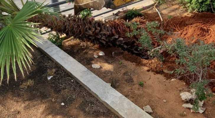 بلدية الغبيري تواصل أعمال الصيانة والتشجير لتحسين المشهد العام ورفع مستوى السلامة