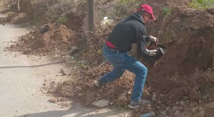 بلدية طيردبا تتسلم 200 شجرة صنوبر وخروب لتعزيز المساحات الخضراء