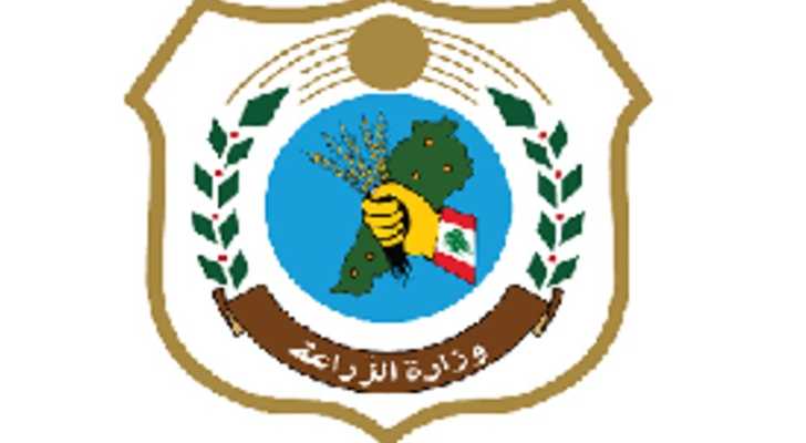 وزارة الزراعة تصدر نشرة متوسط أسعار السلع الغذائية