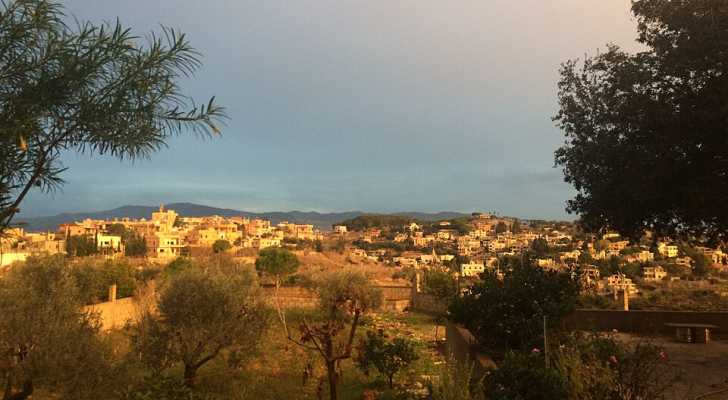 بلدية النميرية .. تحويل كل فرصة وكل مورد إلى خدمة مباشرة للمواطنين