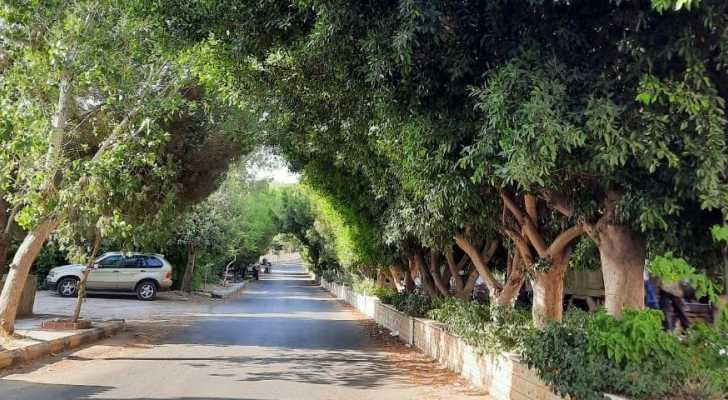 بلدية كفردونين تمدد خط كهرباء جديد من المحطة الرئيسية بكلفة 7000 دولار