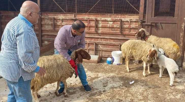 بلدية شقرا ودوبيه تنظّم جولة بيطرية للكشف على المواشي وتوزيع الأدوية اللازمة