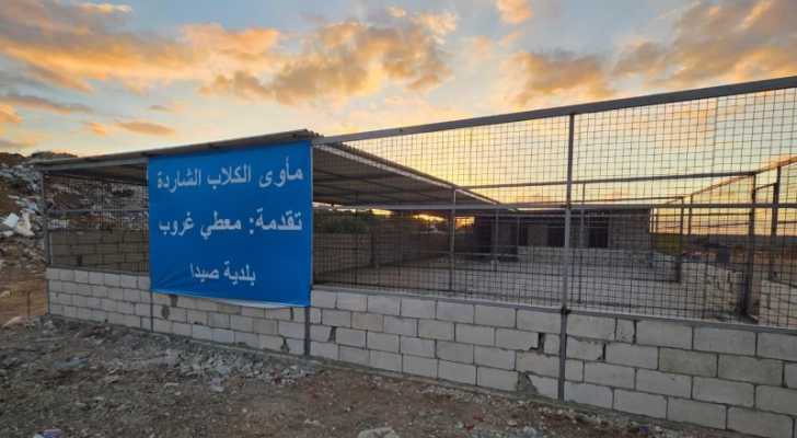 بلدية صيدا تنهي المرحلة الاولى لإنشاء مأوى للكلاب الشاردة