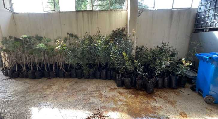 بلدية برعشيت تستلم 200 شجرة ضمن مبادرة