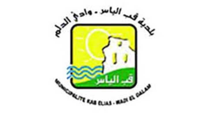 جولة رقابية في سوق خضار قب الياس لضبط الأسعار ومنع الاحتكار