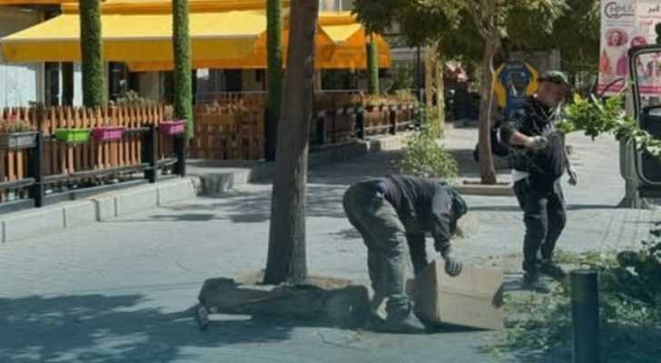 لجنة الزراعة في بلدية بعلبك تباشر بتشحيل الأشجار عند شارع رأس العين