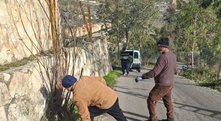 بلدية برج قلاوية تستكمل أعمال تشحيل الأشجار على جوانب الطرقات