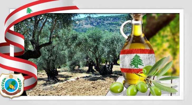 وزارة الزراعة تعلن مطابقة 20 عيّنة من زيت الزيتون في محافظة النبطية للمواصفات اللبنانية