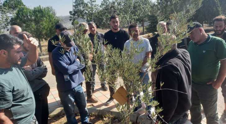 ورشة تدريبية حول تقليم الأشجار لمزارعي قضاء صور