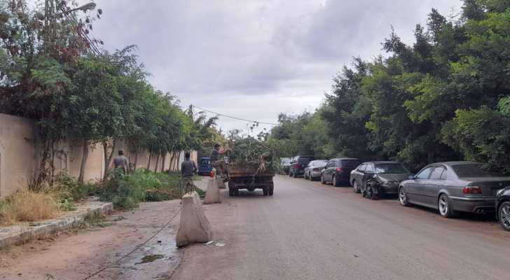 قسم الزراعة في بلدية برج البراجنة يواصل أعماله الميدانية