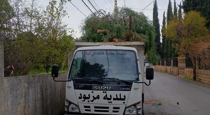 بلدية مزبود تنفّذ حملة تشحيل للأشجار في عدد من شوارع البلدة