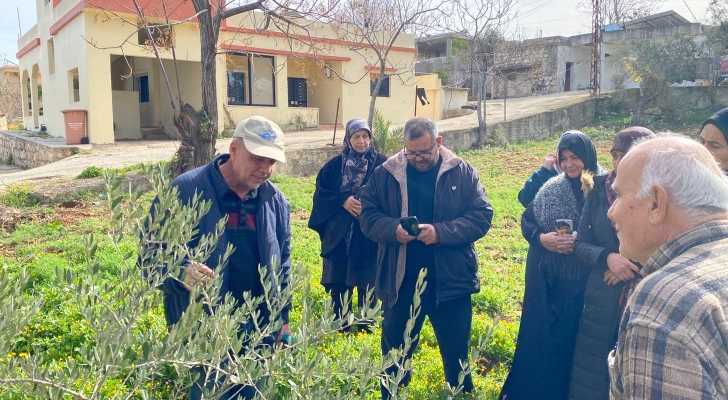 ورشة متخصصة لتقليم أشجار الزيتون في بلدية تولين لتعزيز الإنتاجية ودعم المزارعين