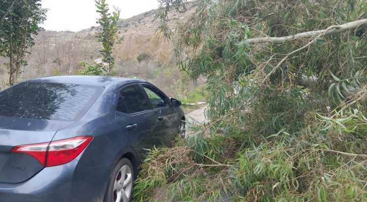 إتحاد بلديات جبل عامل يفتح طريق الحجير – السلوقي بعد إزالة الأشجار المتساقطة جرّاء العاصفة