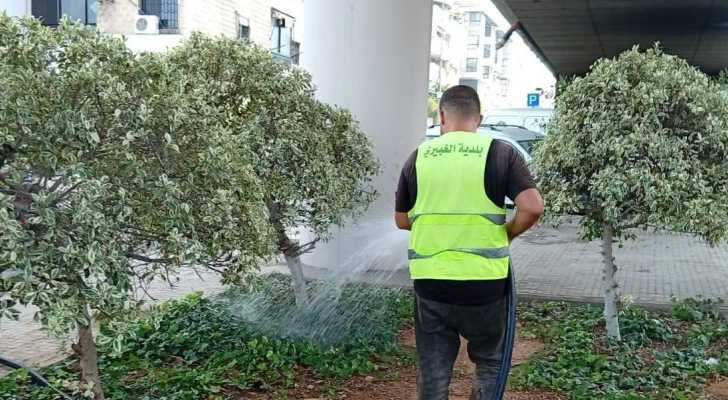 بلدية الغبيري: 30 عملية تزيين و16 عملية تقليم لقسم البيئة والزراعة خلال أسبوع