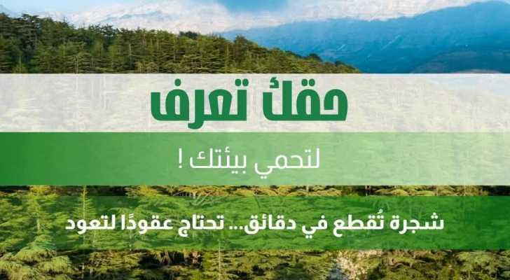وزارة البيئة تدعو إلى التشدد في مراقبة قطع الأشجار وملاحقة المخالفين مع اقتراب الشتاء