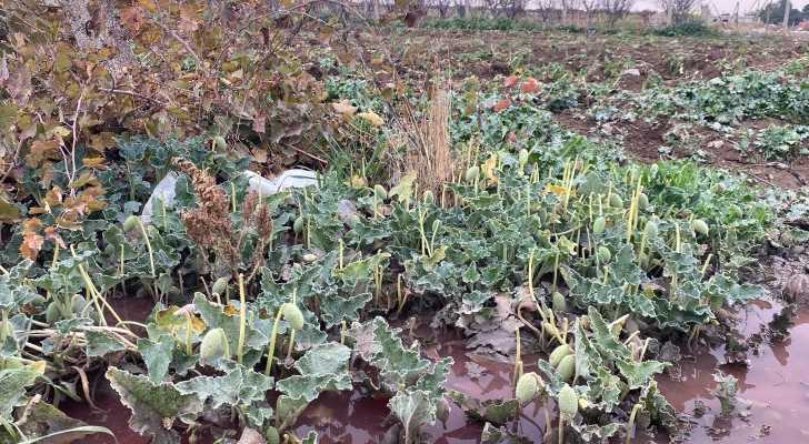 المصلحة الوطنية لنهر الليطاني تتحرك إثر تلوث في منطقة بدنايل