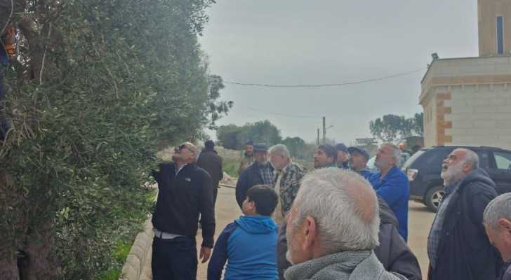 اتحاد بلديات جبل عامل ينظّم ندوة زراعية حول تقليم الزيتون في بلدية طلوسة