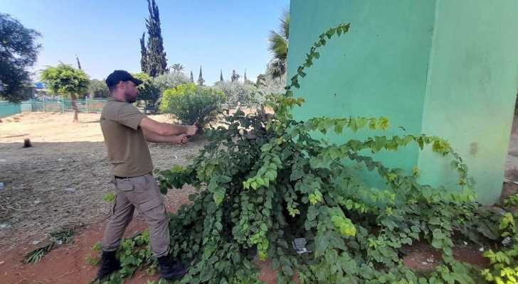 بلدية برج البراجنة تواصل أعمال العناية بالمساحات الخضراء