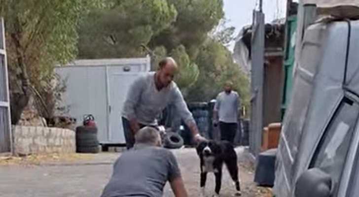 بلدية زوق مصبح تباشر بالمرحلة الأولى من مشروع الكلاب الشاردة