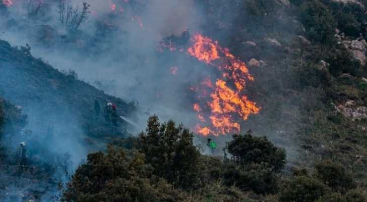 وزيرة البيئة وضعت مع البنك الدولي اللمسات الأخيرة على مشروع إدارة مخاطر حرائق الغابات