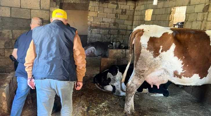 اتحاد بلديات جبل عامل ينظم زيارة ميدانية لطبيب بيطري في بعض بلداته