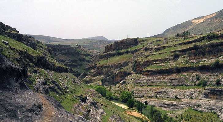 بلدة قليا: بين العمل البلدي والروح الجماعية