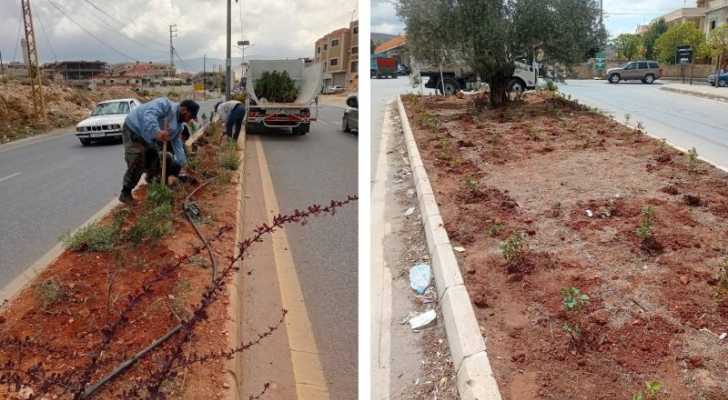 إتحاد بلديات بعلبك ينهي زراعة شتول الورد في وسطية دورس وطريق رئيسية