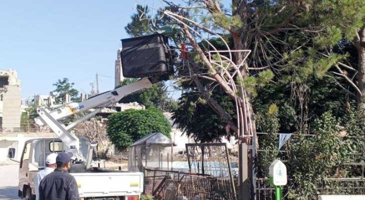 أعمال تشحيل الأشجار القريبة من شبكات الكهرباء في بلدة الطيبة
