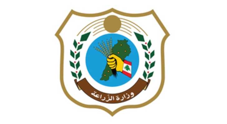 وزارة الزراعة تنشر متوسط أسعار اللحوم والخضار والفاكهة والحليب
