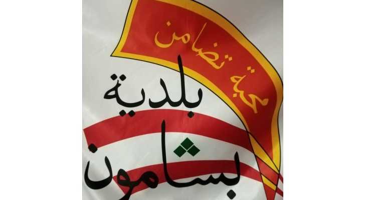 بلدية بشامون تطلق حملة شاملة لرشّ المبيدات ومكافحة الحشرات