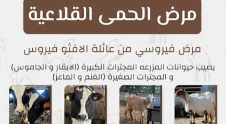 تحذير من انتشار مرض الحمى القلاعية في بلدة مركبا