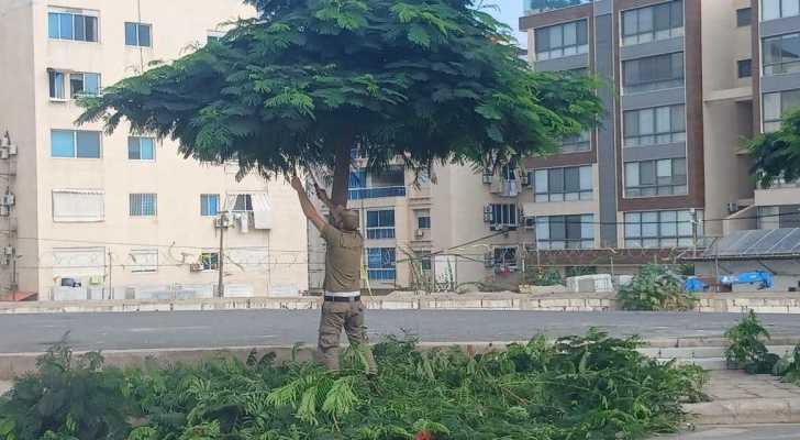 بلدية برج البراجنة تنفّذ أعمال تقليم للأشجار وتعالج الأغصان اليابسة والمتدلية