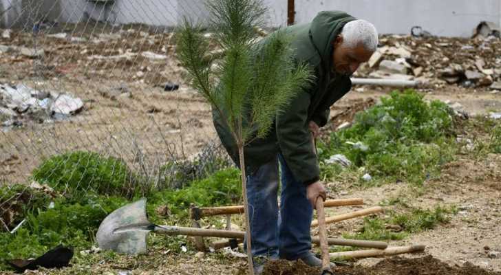 حملة تشجير في النبطية تعزيزًا للمساحات الخضراء