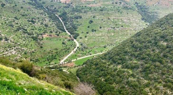 إعادة تأهيل المحميات المتضررة بسبب العدوان: بين حجم الكارثة ودور البلديات في المواجهة