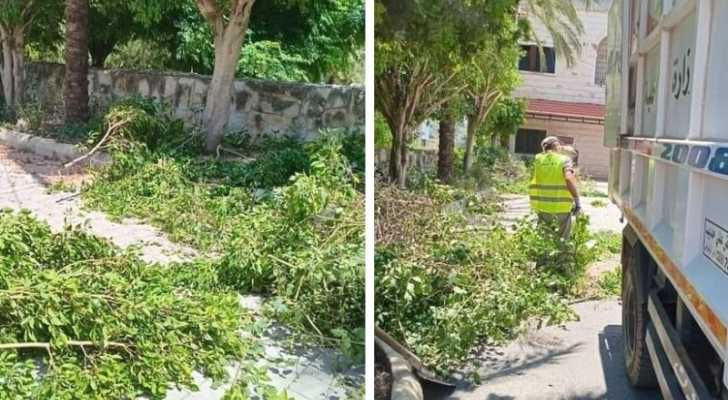 بالصور: بلدية النميرية تطلق حملة تشحيل وتجميل للأشجار