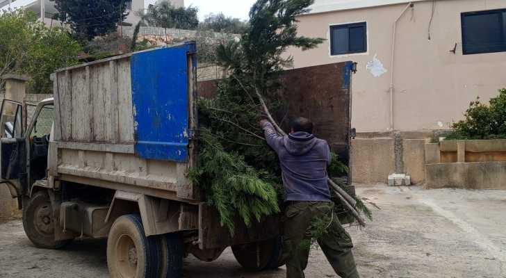 بلدية سلعا تزيل الأشجار المتساقطة وتطلق حملة صيانة للطرقات وشبكة الكهرباء